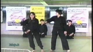 Stillpointer 1992 Tai Chi Chuan - Peking Style And Tests