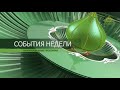 События недели. 13 сентября 2020