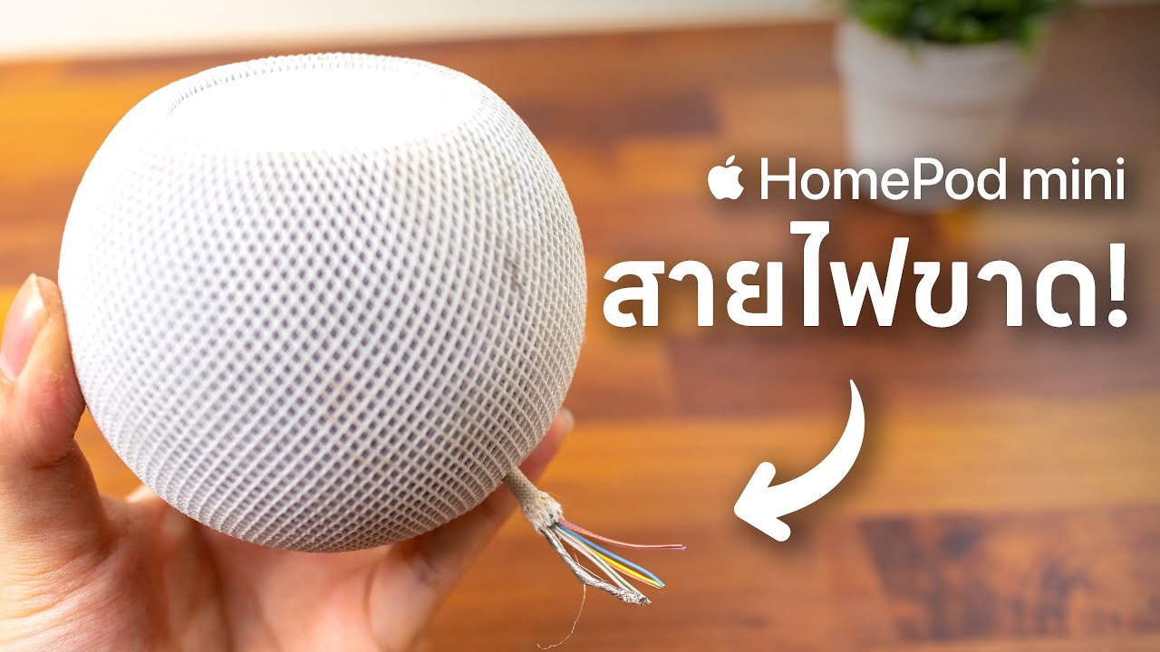 ซ่อม HomePod Mini ราคา 800 บาท จาก FB Marketplace