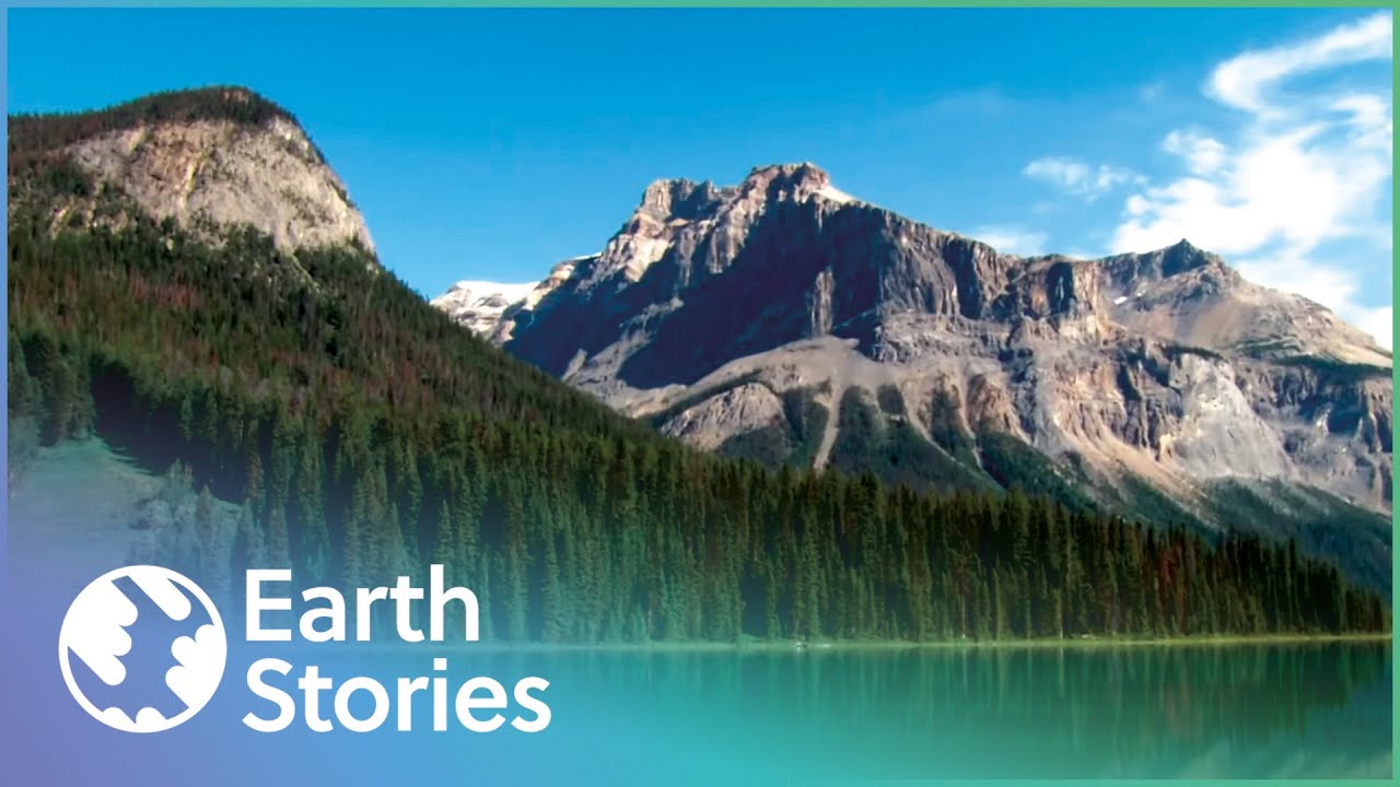 Can This Park Be Saved From Invasive Species? | A Park For All Seasons Compilation