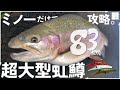 管理釣り場でミノーだけで83cmの怪物レインボーを狙う。【エリアミノーイング】#エリアトラウト #ユーランド清水川 #fishing