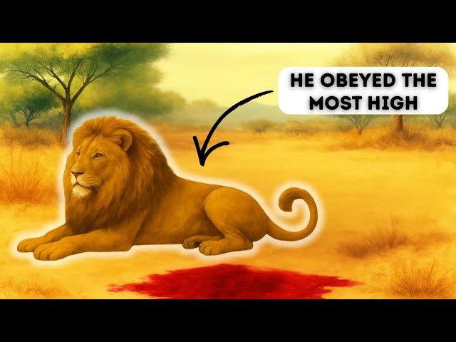 Ears To Hear Part 1: Donkey and Lion w/Ach YediYah (The Inspirer)