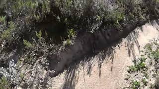 Boring Bike Ride: Bottelary Skilpad