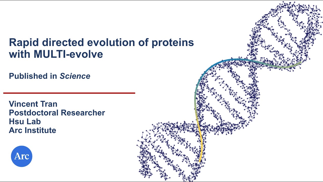 MULTI-evolve: Rapid directed evolution guided by protein language models and epistatic interactions.