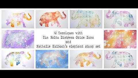 10 Tecniques with Distress Oxide Inks and N* studio elephant stamp.