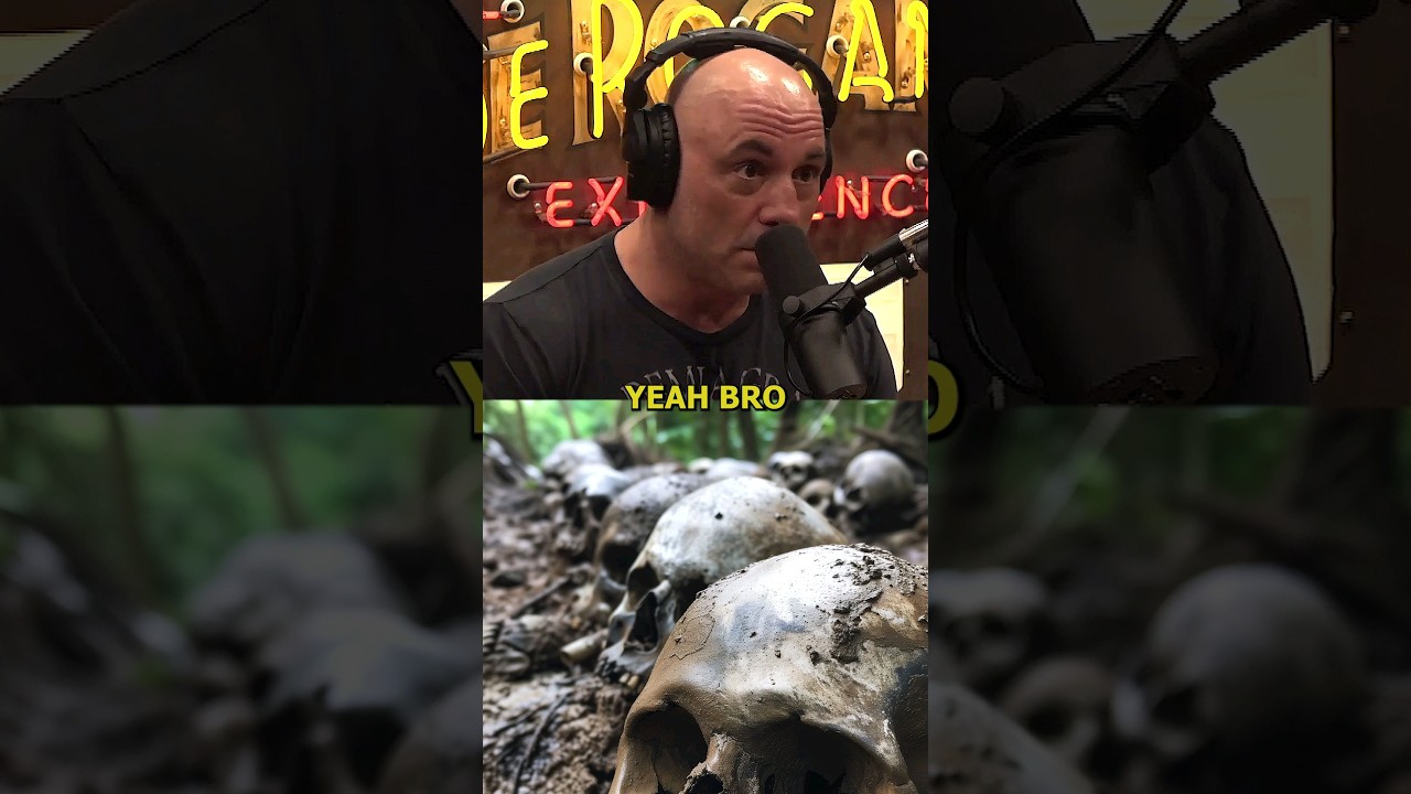 joe rogan european tour