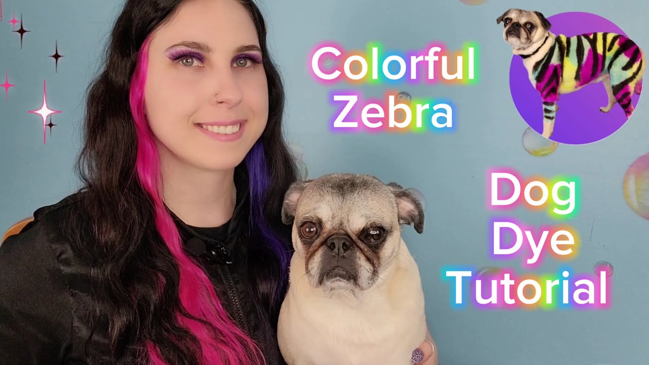 Colorful Zebra Dog Dye Tutorial - YouTube