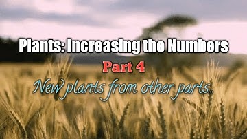 Class 5 | Plants: Increasing the Numbers (Part 4)