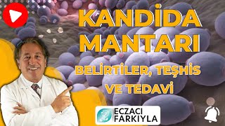 Kandida Mantarı Hakkında Her Şey! (Belirtiler, Teşhis ve Tedavi)