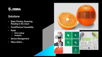 Zebra DevTalk | The Zebra Savanna Data Services Sandbox | September 2019