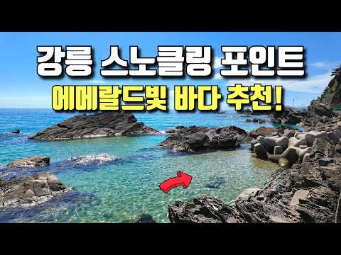 여기 진짜! 한국바다 맞습니다🤭(오키나와❌, 몰디브❌) | 강릉 스노클링 포인트 추천