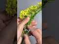 野花で作る可愛い花冠