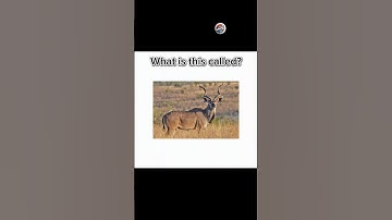 English quiz challenge part 762 #newquiz