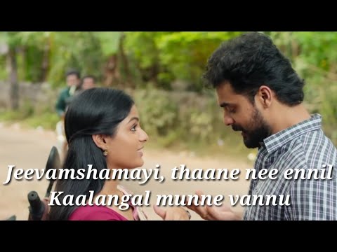 Jeevamshamayi Karaoke Song with Lyrics|Theevandi|karaoke song lyrics |