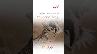 golden words Urdu poetry hurt touching #motivation #power #trap #workoutmusictv