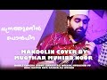 Mandolin song  muqthar muhibb noor