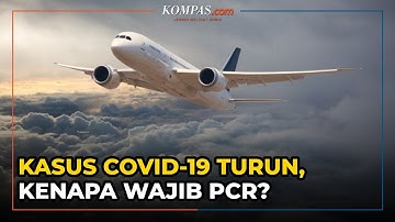 Kasus Covid-19 Turun tapi Naik Pesawat Wajib PCR? Ini Alasannya