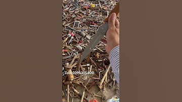 Dao chiến thuật quân sự đi rừng đi phượt