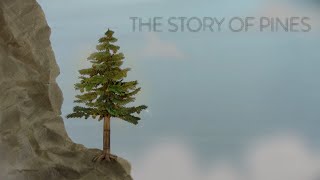 The Story of Pines 2012 Animated Short Film