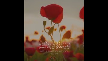 القارئ محمد اللحيدان حالات واتس اب