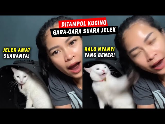 LUCU BANGET!! Si Kucing TAMPOL Majikannya Gara-gara Suaranya Fals Saat Bernyanyi! class=