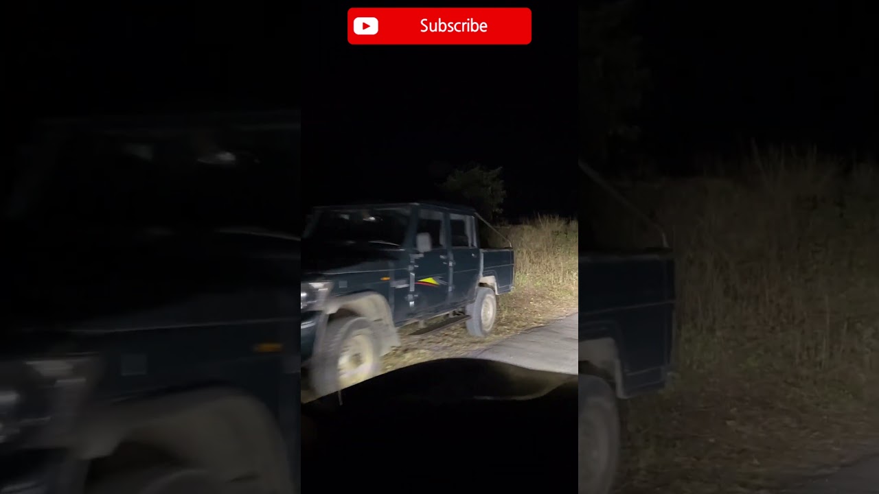 Nainidanda-Rikhnikhal Maneater Tiger Caught | Rikhnikhal Tiger | Pauri Tiger 