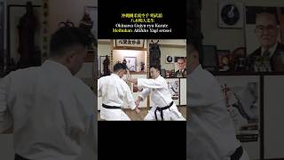 Hook and strike with the bone! Awesome Okinawan karate!