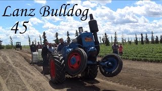 Lanz Bulldog 45 Full Power Lanz Bulldog 45 Full Power