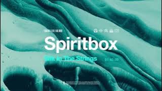 Spiritbox - Silk In The Strings
