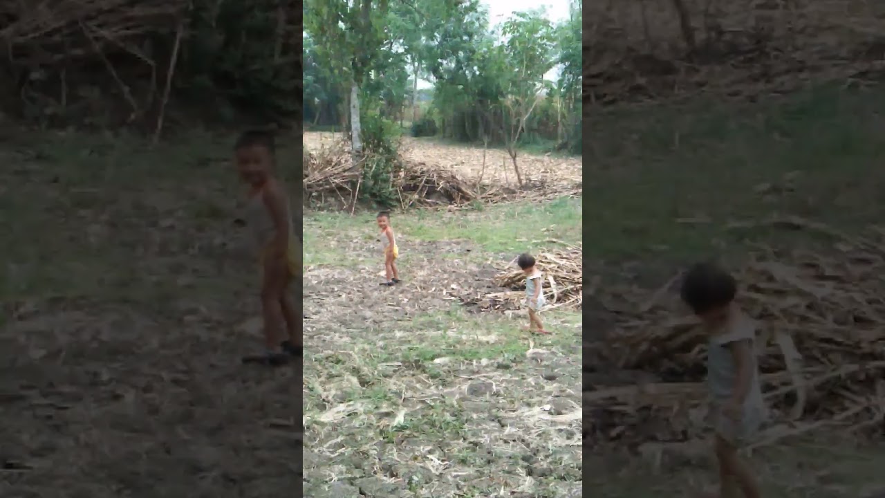 video 20241121 1426521