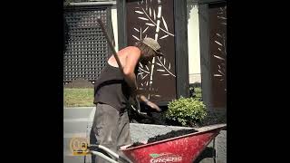 Azwood's Black Mulch Application Guide