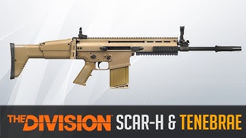 The Division Weapon Guide - SCAR-H & Tenebrae (Statistics, Variants and Class Set-Up)