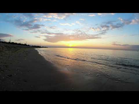 Video: Hoe Te Ontspannen Op Het Strand In