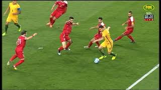Socceroos coach calls it quits