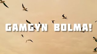 Gamgyn bolma!