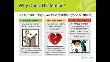CFHA Webinar: Trauma Informed Care: Implementation of the ACE Questionnaire