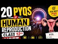 20 Most Important PYQs of Human Reproduction | Class 12 Biology | NEET 2026 Preparation