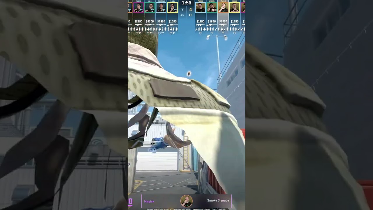 Magisk Shows INSANE Nuke Door Lurk Smoke in CS2