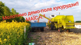 Збираємо демо-поле кукурудзи!! Гібриди МАЇС ч.1