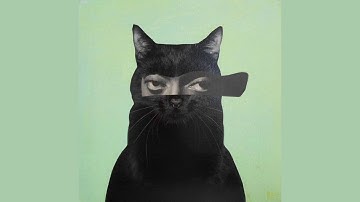 Anamorph - Finger Tips