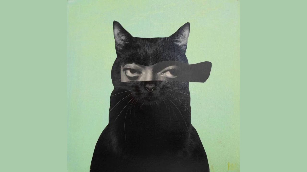 Anamorph - Finger Tips