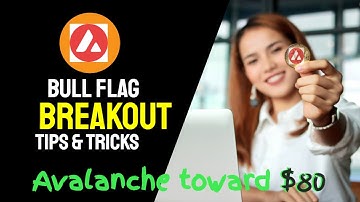 Bull flag breakout pushes Avalanche toward $80 as AVAX price hits another record high