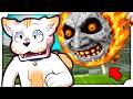 DrCat