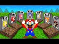 Mario R.I.P All Team: Sorry Sonic, Amy Rose, Tails, Shadow, Knuckles, ...Please Comeback!!
