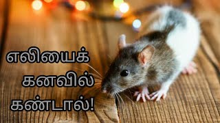எலயக கனவல கணடல Eliyai Kanavil Kandal Rat In Dream Kanavu Palangal In Tamil