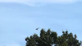 2013 New Garden Airshow - FLS Microjet