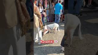 Nın Çok Bilinmeyen Ve Daha Çok Iç Turizme Hizmet Eden Kültür Ve Sanat Merkezi