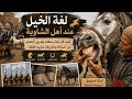 لغة الخيل عند أهل الشاوية أسرار لا يعرفها إلا الفرسانرجال يقرأون الحصان من مشيته فقط mp3