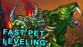 How to Level Up Hunter Pets Fast in Classic WoW