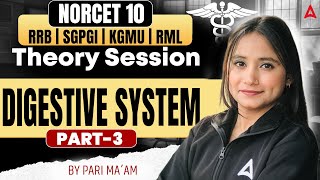 Digestive System in Nursing Part 3 | Digestive System Theory Class for All Nursing Exam Preparation